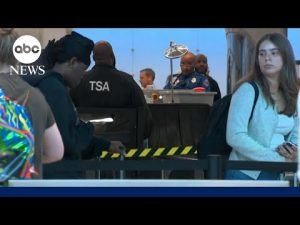 Read more about the article TSA agents struggle to make ends meet amid shutdown