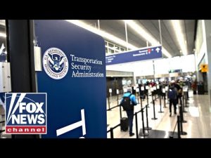 Read more about the article DHS official sounds alarm: Federal workers are ‘SLEEPING IN THEIR CARS’