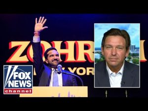 Read more about the article ‘IT WON’T WORK!’: Ron DeSantis warns of ‘devastating’ Mamdani policies