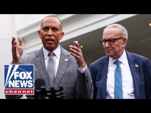 Read more about the article Democrats are ‘COMPLETELY at fault’ for shutdown, says GOP member