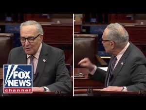 Read more about the article WATCH: Schumer tangles with senator, puts Trump admin on BLAST