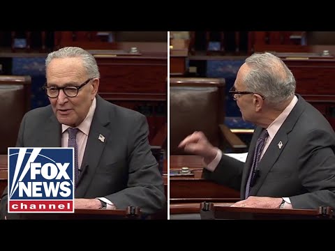 You are currently viewing WATCH: Schumer tangles with senator, puts Trump admin on BLAST