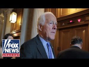 Read more about the article Republican senator lays out ‘the simplest solution’ as SNAP set to expire