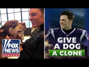 Read more about the article Is this Tom Brady’s ‘divorce dad’ move?