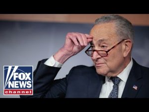 Read more about the article Dems will BREAK from Schumer, former House Speaker warns