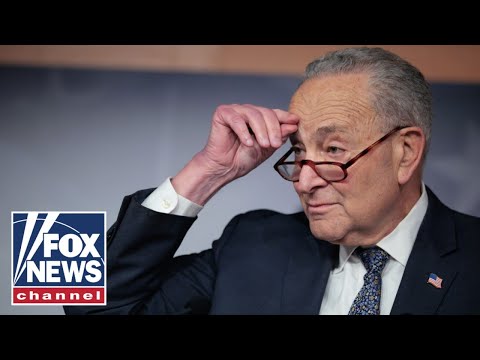 You are currently viewing Dems will BREAK from Schumer, former House Speaker warns