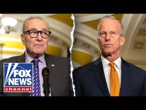 Read more about the article DETAILS: ‘Dirty politics’ of shutdown revealed as Republicans eye test vote