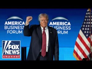 Read more about the article ‘ORIGINAL SIN’: Trump is ‘fixing’ what Dems broke, Emmer says