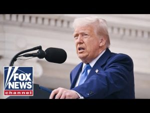 Read more about the article Trump tells Pentagon to ready ‘vicious’ military action in Nigeria: ‘MOVE FAST!’