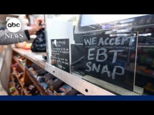 Read more about the article SCOTUS justice temporarily pauses order requiring Trump admin to fully fund SNAP