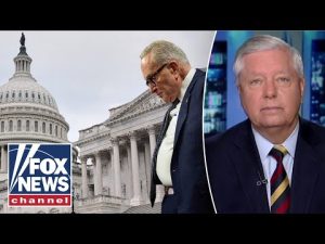 Read more about the article Lindsey Graham: This is BACKFIRING on the Dems