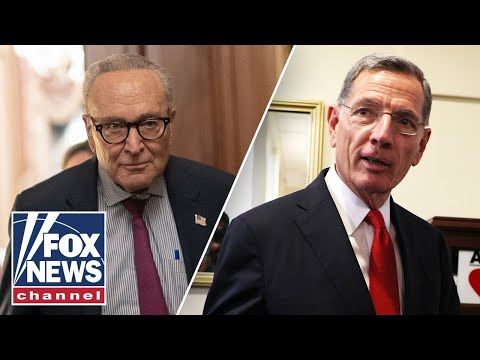 Read more about the article End of government shutdown ‘FINALLY IN SIGHT,’ senator says