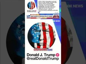 Read more about the article JUST IN: Trump demands air traffic controllers get back to work ‘NOW!’ #shorts #foxnews #us