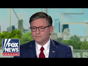 Read more about the article ‘ABSURD’: Speaker Johnson sounds off on Dems over shutdown stalemate