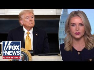 Read more about the article Leavitt: This is a RED LINE for Trump