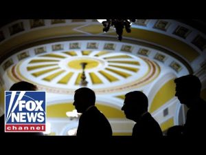 Read more about the article WATCH LIVE: Senate to vote on government funding deal to end shutdown