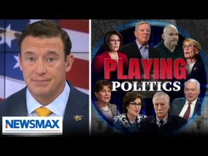 Read more about the article ‘Very calculated’: Carl Higbie blasts ‘Democrat machine’ for picking which Dems back shutdown deal
