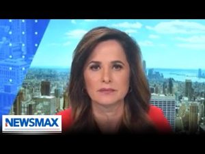 Read more about the article Illegal immigrants got SNAP benefits before the shutdown | Sunday Agenda