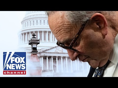 Read more about the article GOOD LUCK, Chuck: Dem civil war EXPLODES over shutdown