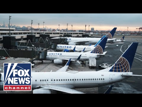 You are currently viewing JUST IN: MILLIONS affected by air travel chaos during shutdown