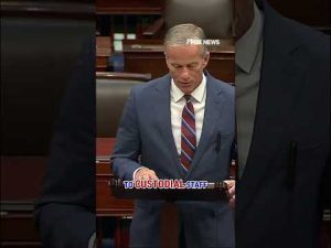 Read more about the article Thune speaks after Senate votes to END shutdown: ‘Coming to the end’ #shorts #foxnews #us