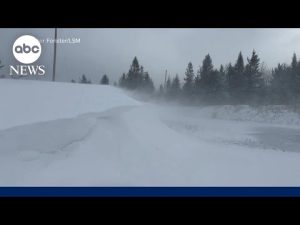 Read more about the article Arctic blast triggers treacherous travel conditions for millions