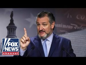 Read more about the article Ted Cruz: This can NEVER happen again!