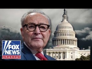 Read more about the article BAD LUCK CHUCK: Dems ‘implode’ after shutdown loss, turning fire on Schumer
