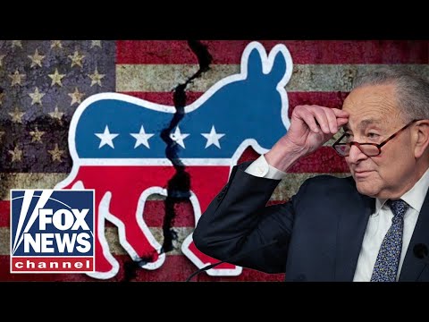 You are currently viewing Dems ‘IMPLODE’ after shutdown loss, turning fire on Chuck Schumer