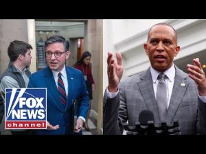 Read more about the article Republicans are working to make lives better, Democrats are creating chaos: GOP rep