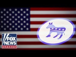 Read more about the article Democrats ‘lost the plot’: Sen Josh Hawley