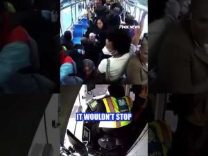 Read more about the article WATCH: Commuters PANIC as train operator falls asleep at the wheel #shorts #us #foxnews #viral