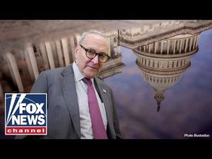 Read more about the article Democrats are using Americans as ‘leverage’ in shutdown, GOP lawmaker says