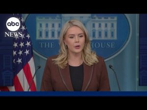 Read more about the article White House Press Secretary on Epstein emails: ‘President Trump did nothing wrong’