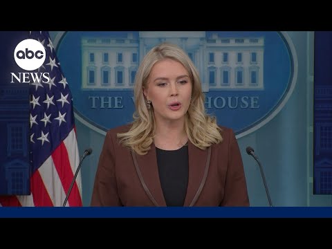 Read more about the article White House Press Secretary on Epstein emails: ‘President Trump did nothing wrong’