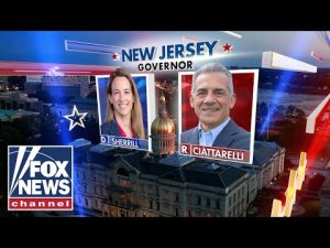 Read more about the article HIGH-STAKES ELECTIONS: Where races in NYC, Virginia and New Jersey stand