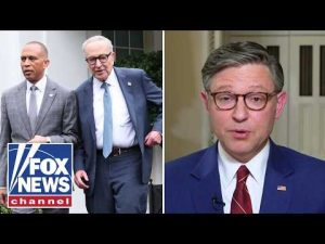 Read more about the article Mike Johnson: The ONE reason Dems shut down the government