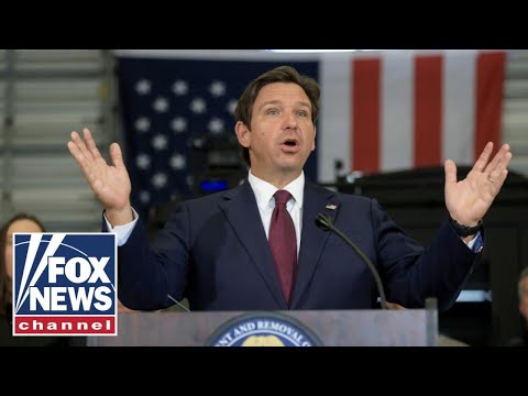 You are currently viewing WATCH LIVE: DeSantis, ICE hold press briefing on illegal alien predator bust