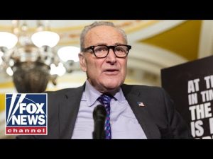 Read more about the article ‘UNPRECEDENTED’: ‘Squad’ Dems UNLEASH on Schumer