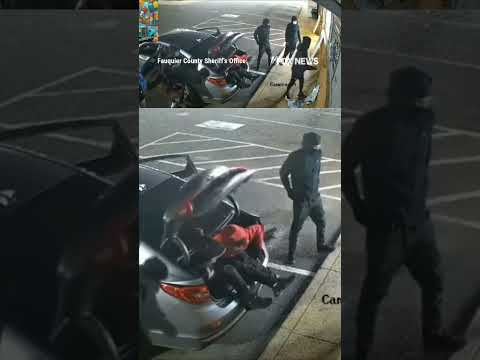 Read more about the article WATCH: NINE suspects spill out of tiny car before wild break-in #shorts #us #news #foxnews #usnews