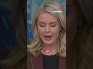 Read more about the article Leavitt: BBC is a ‘LEFTIST PROPAGANDA MACHINE’ #fox #media #breakingnews #us