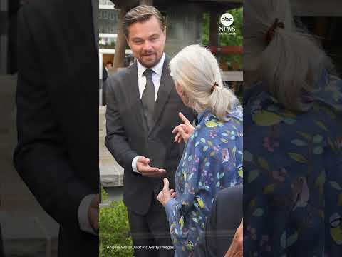 You are currently viewing Leonardo DiCaprio eulogizes primatologist Jane Goodall