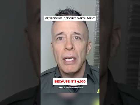 Read more about the article ‘Rent free’: Border agent responds after being called out by Democrat Illinois Gov.