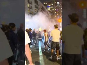 Read more about the article Los Angeles erupts, Dodgers fans take to streets after World Series win