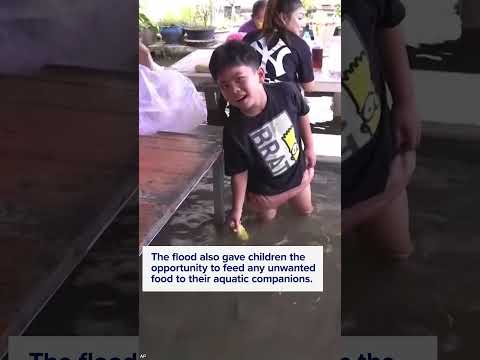 You are currently viewing Fish swim among diners at flooded Thai restaurant