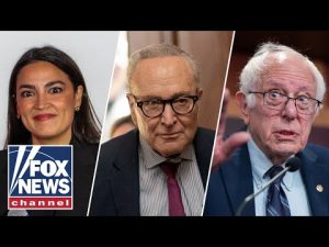 Read more about the article SCHUMER’S SHUTDOWN RECKONING: More Dems call to oust leader