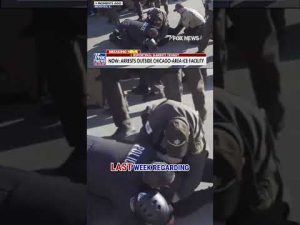 Read more about the article SEE IT: Rioters take on federal agents outside Chicago-area ICE facility #shorts #foxnews #us