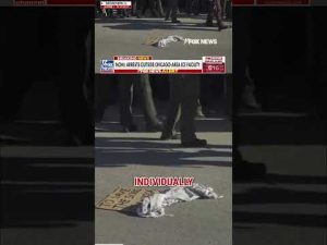 Read more about the article WATCH: CHAOS outside Illinois ICE facility as police make arrests #fox #foxnews #breaking