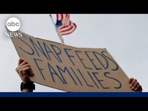 Read more about the article Government shutdown: New battle over SNAP benefits as healthcare premiums rise