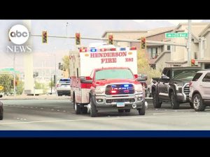 Read more about the article Child killed in road rage incident on way to school in Nevada: Police